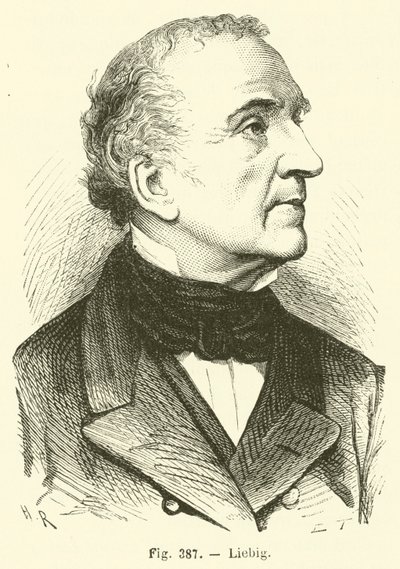 Liebig by French School